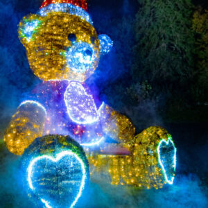 Our peak tickets include the option to soak up some more Christmas atmosphere around St. Fiachra’s Garden, where you can enjoy a lit-up walking trail.