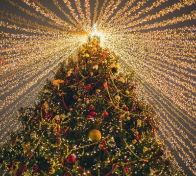 fairylights - Christmas tree