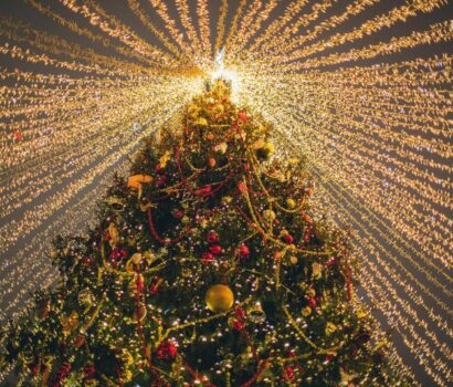 fairylights - Christmas tree