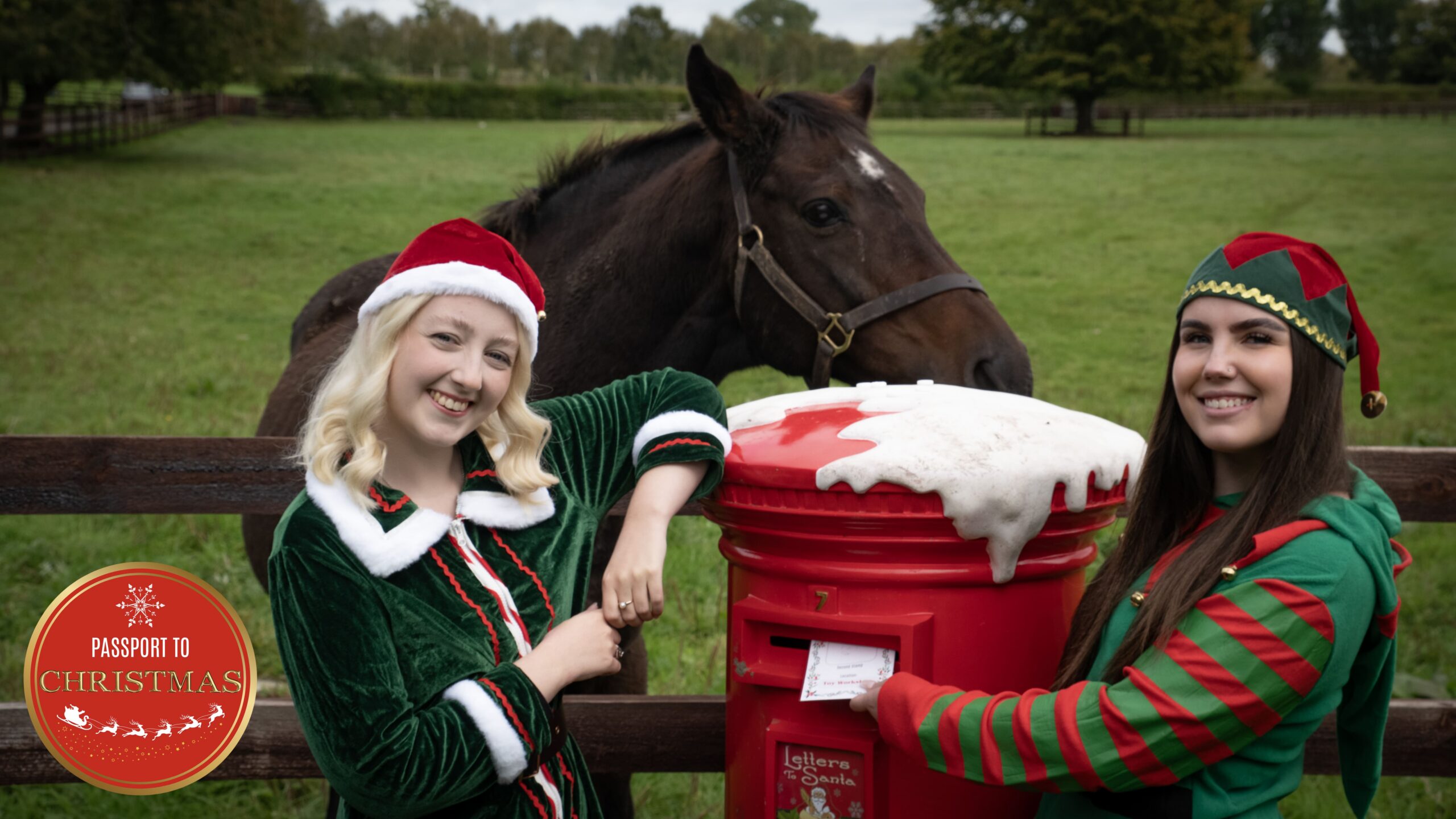 23 national stud gardens large-min